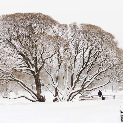 Photo #13105444