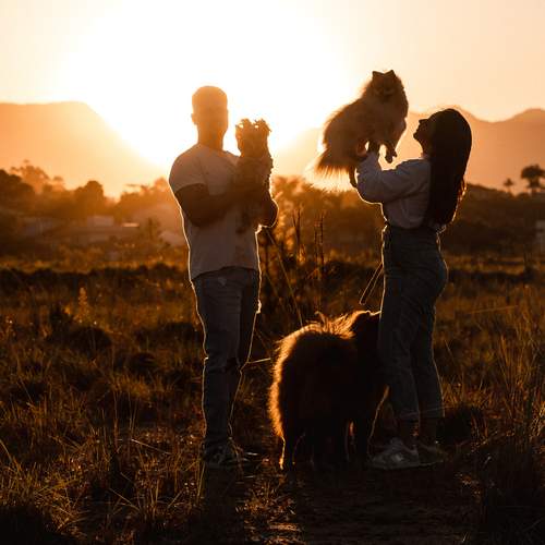 Photo #13105470