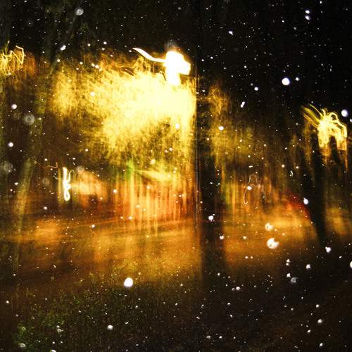 Photo #13105521