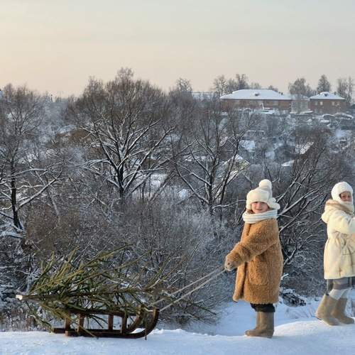 Photo #13105559