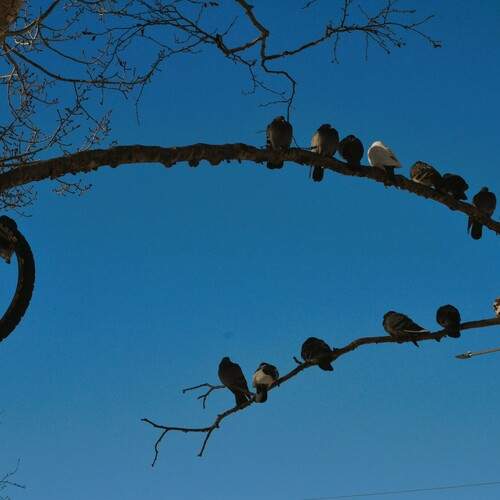 Photo #13105634