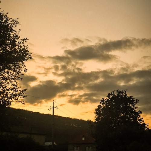 Photo #13105651
