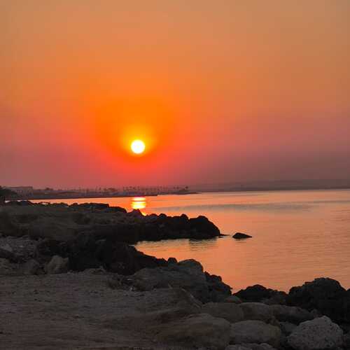 Photo #13105658