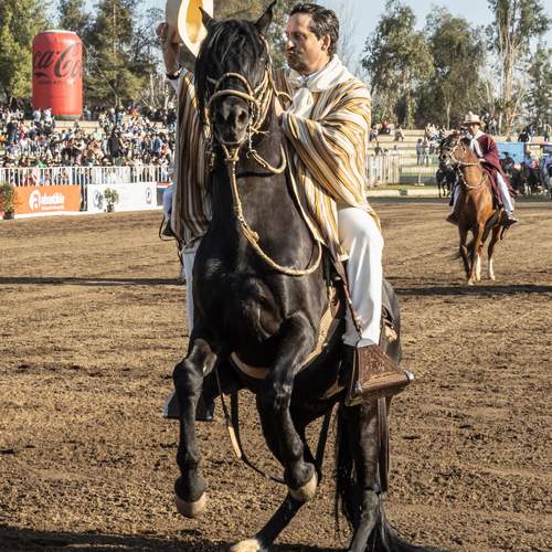 Photo #13105693