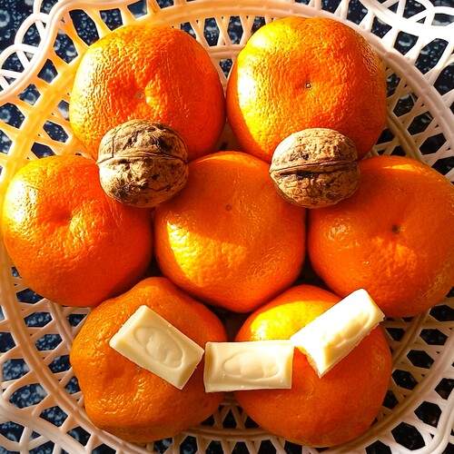 Photo #13105788