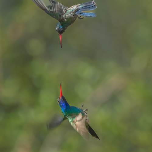 Photo #13105798