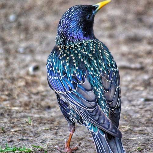 Photo #13105857