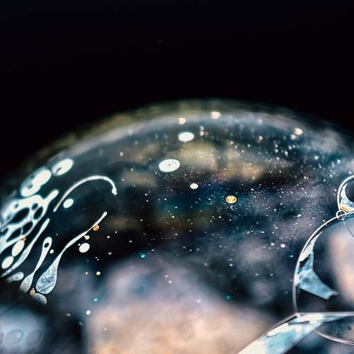 Photo #13105865