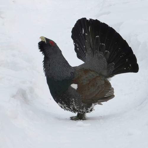Photo #13105927