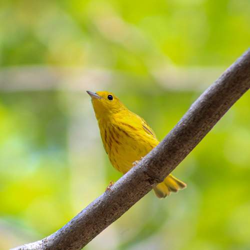 Photo #13105934