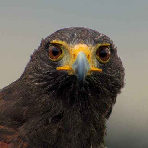 Photo #13105954