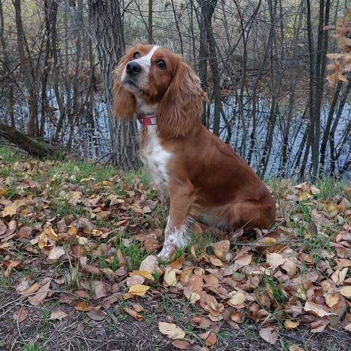 Photo #13106072