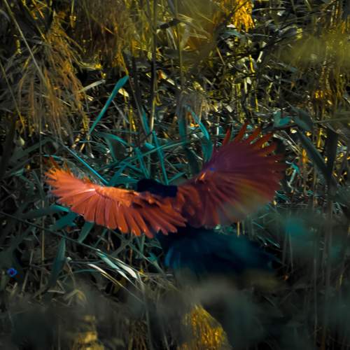 Photo #13106293