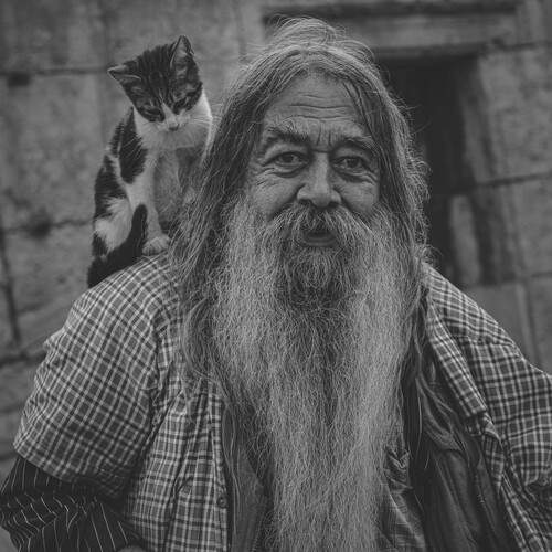 Photo #13106296