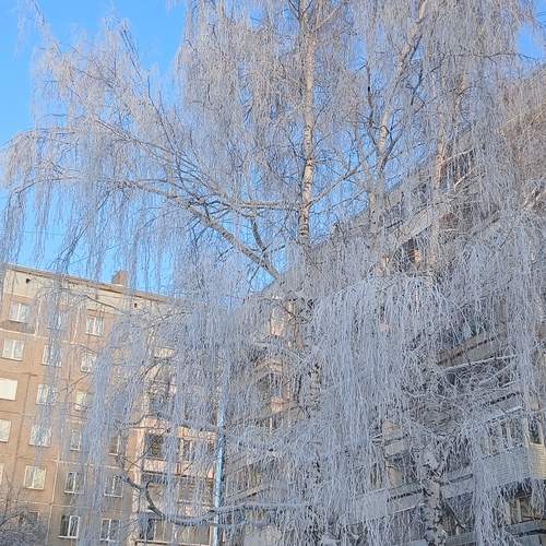 Photo #13106327