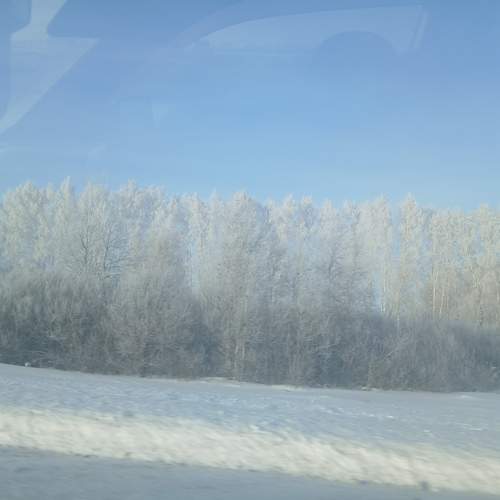 Photo #13106340