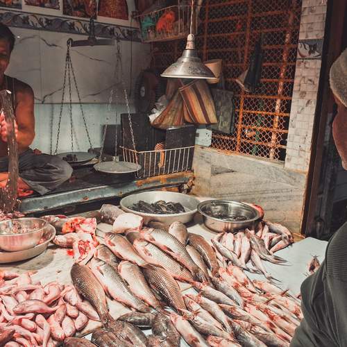 Photo #13106476