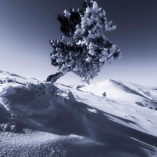 Фотография #13106564