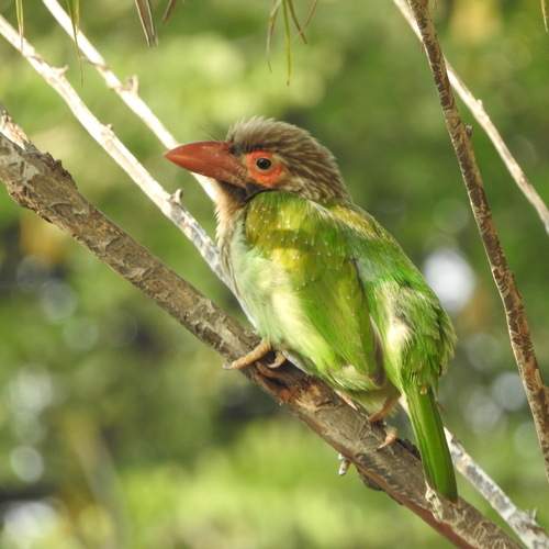 Photo #13106568
