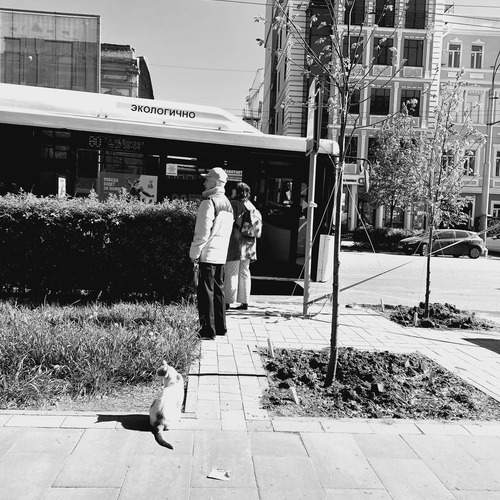 Photo #13106626