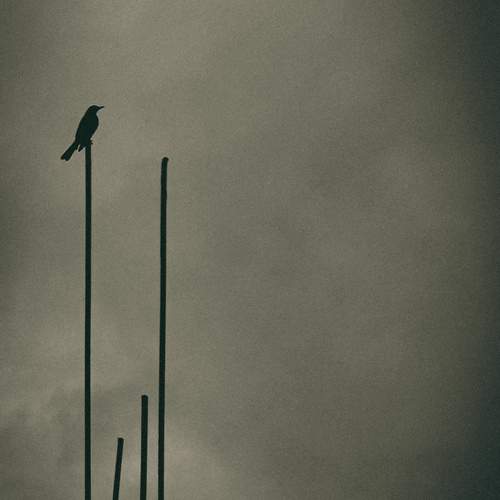 Photo #13106780