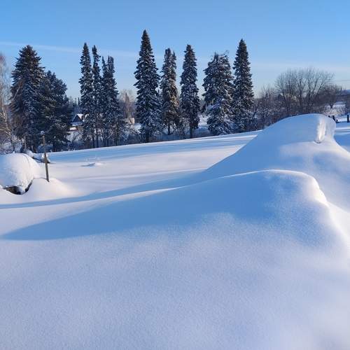 Photo #13106915