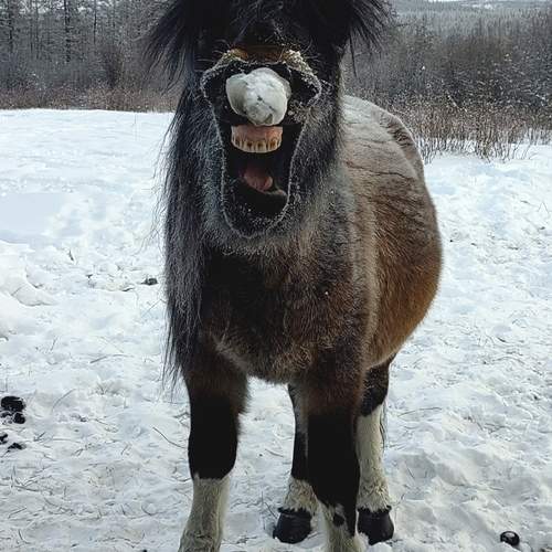 Photo #13106944