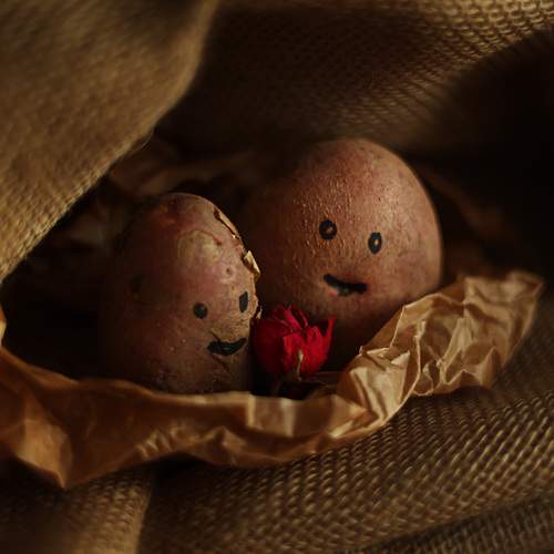 Фотография #13106970