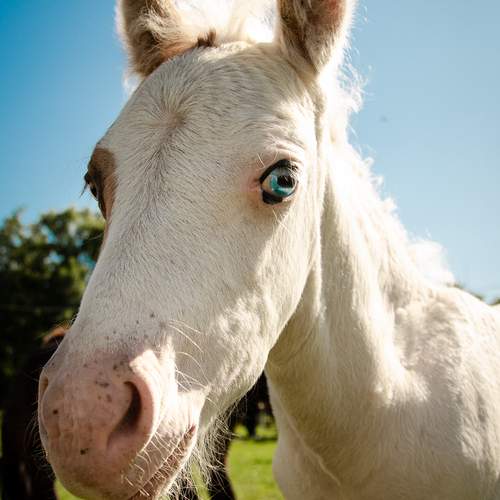 Photo #13107110