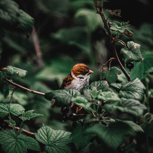 Photo #13107116