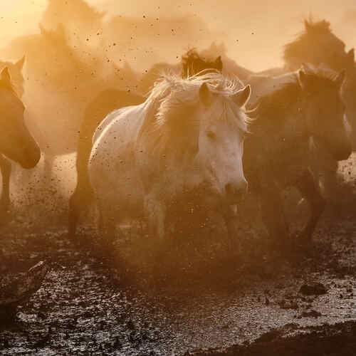 Фотография #13107186