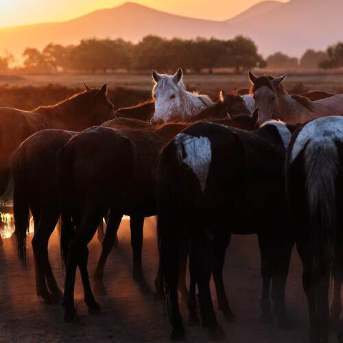 Фотография #13107187