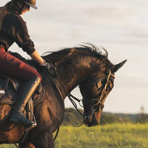 Photo #13107207