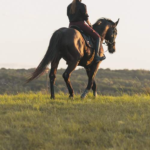 Photo #13107208