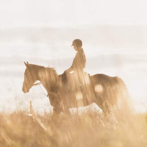 Photo #13107209