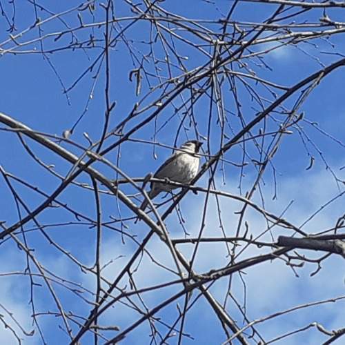 Photo #13107249