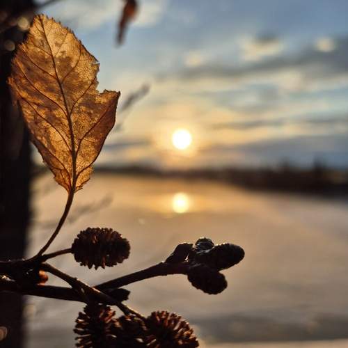 Photo #13107332