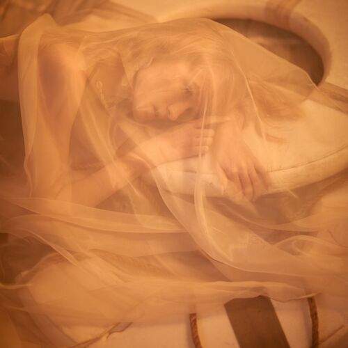 Photo #13107492