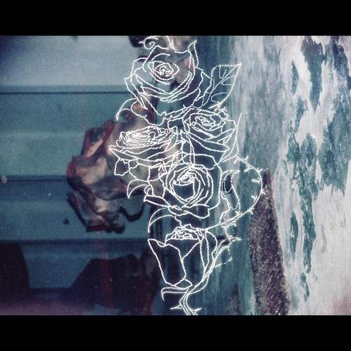 Photo #13107650
