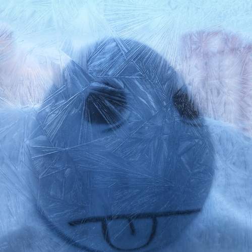 Photo #13107879