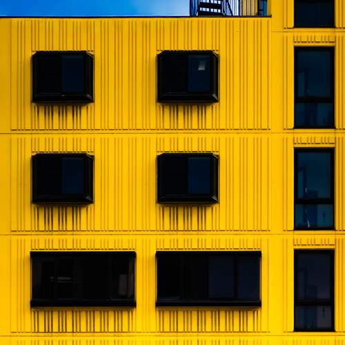 Photo #13107986