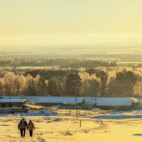 Photo #13108022