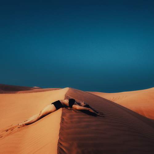 Photo #13108083