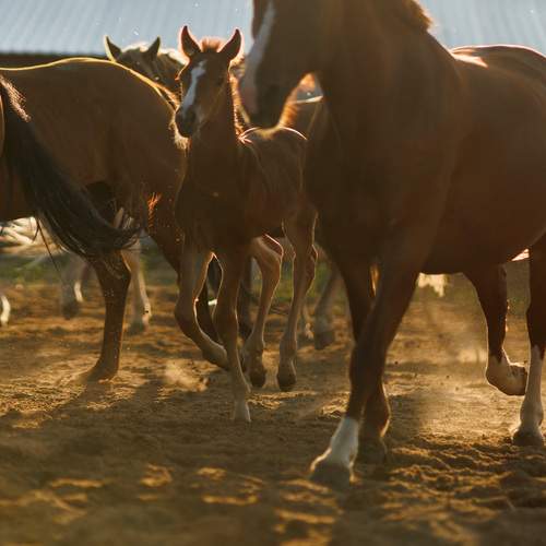 Фотография #13108086