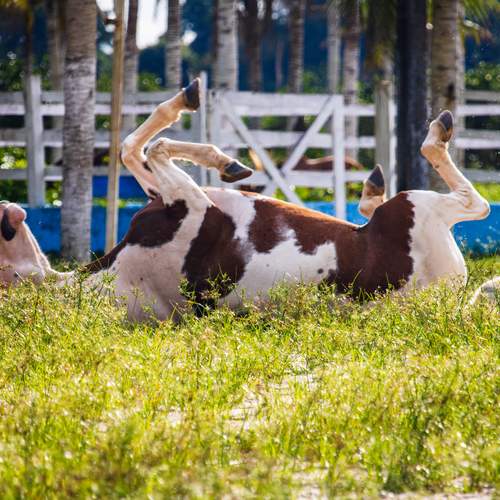 Photo #13108112