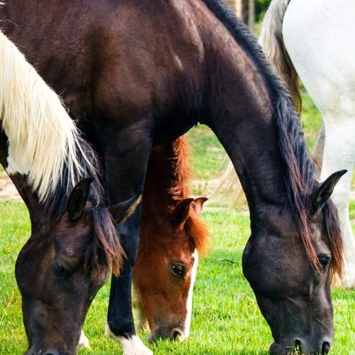 Photo #13108145