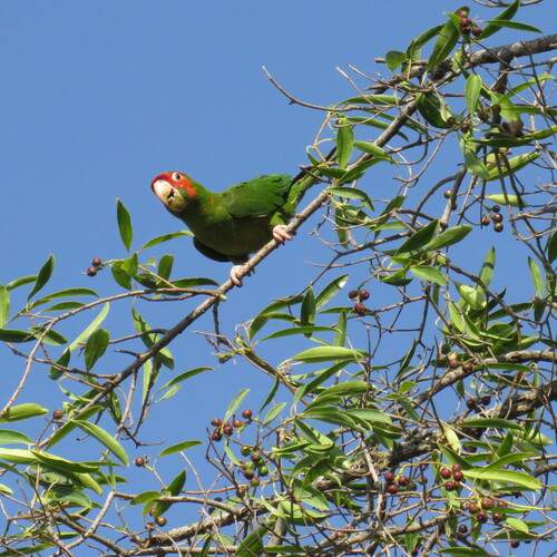 Photo #13108273