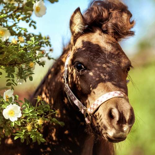 Photo #13108279