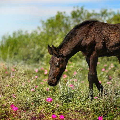 Photo #13108284