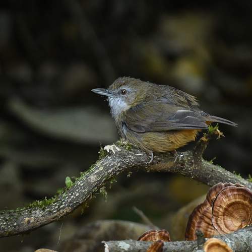 Фотография #13108315